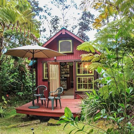 Ferny Hollow: Romantic Rainforest Cottage โวลคาโน ภายนอก รูปภาพ