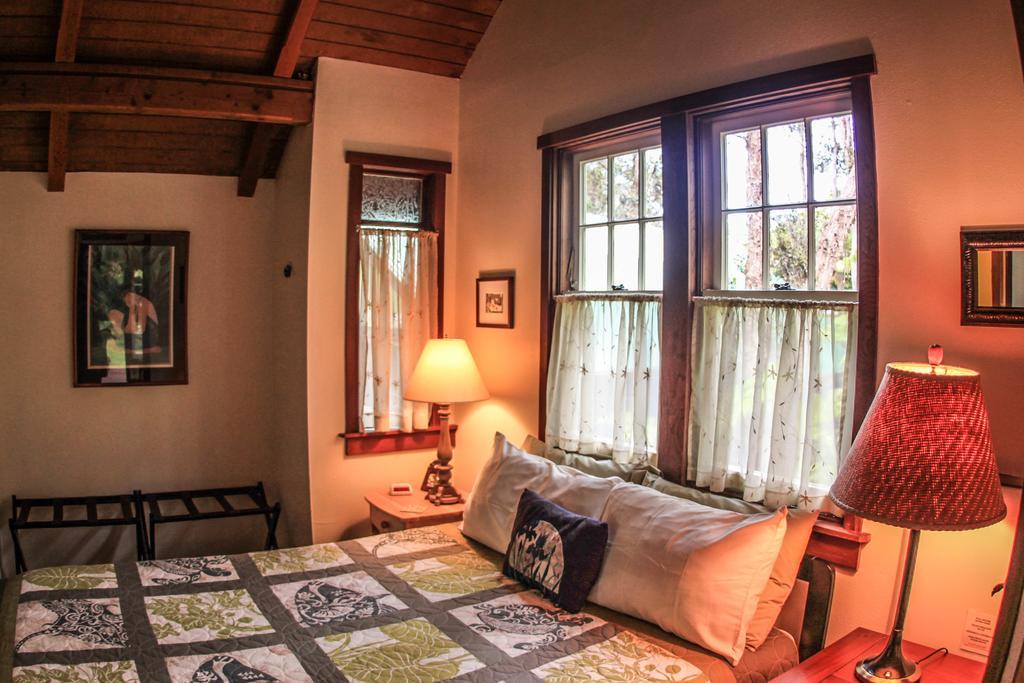 Ferny Hollow: Romantic Rainforest Cottage โวลคาโน ภายนอก รูปภาพ