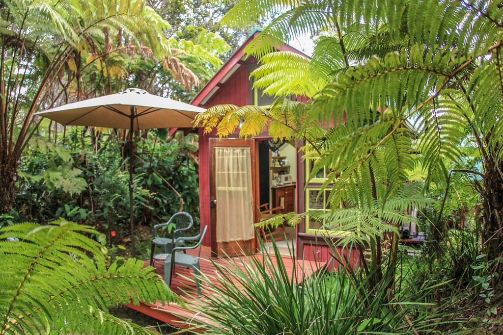 Ferny Hollow: Romantic Rainforest Cottage โวลคาโน ภายนอก รูปภาพ