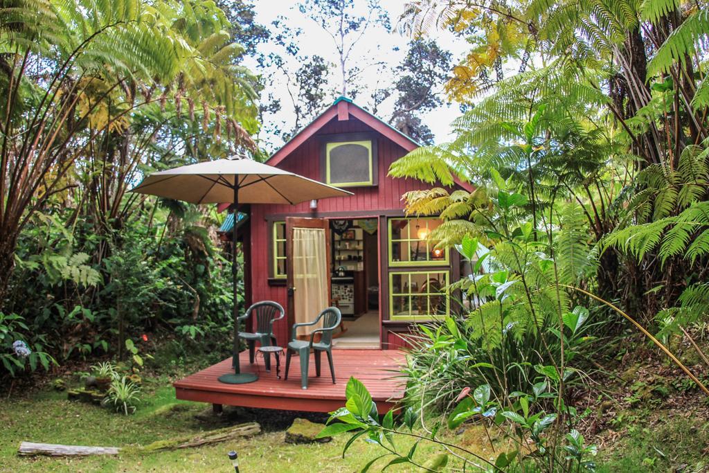 Ferny Hollow: Romantic Rainforest Cottage โวลคาโน ภายนอก รูปภาพ