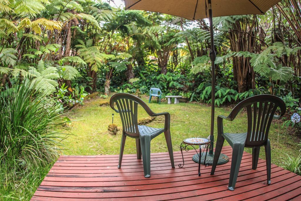 Ferny Hollow: Romantic Rainforest Cottage โวลคาโน ภายนอก รูปภาพ