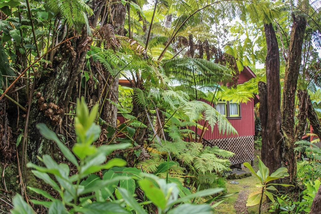 Ferny Hollow: Romantic Rainforest Cottage โวลคาโน ภายนอก รูปภาพ