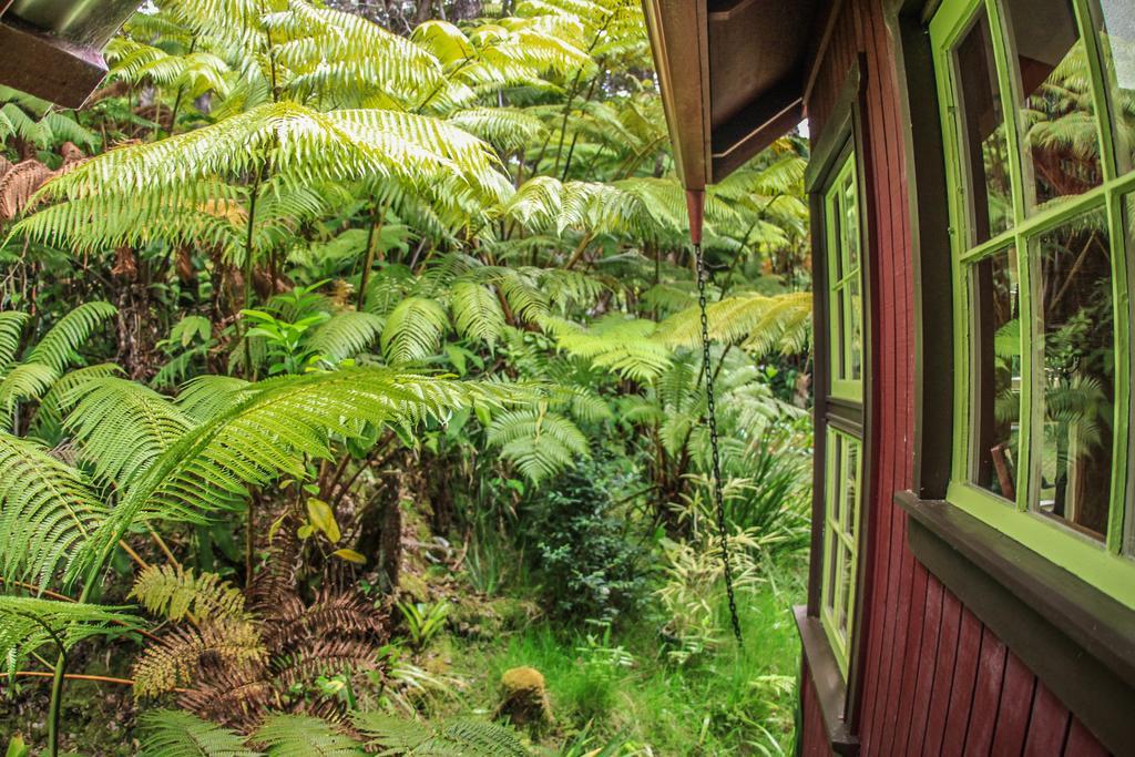 Ferny Hollow: Romantic Rainforest Cottage โวลคาโน ภายนอก รูปภาพ